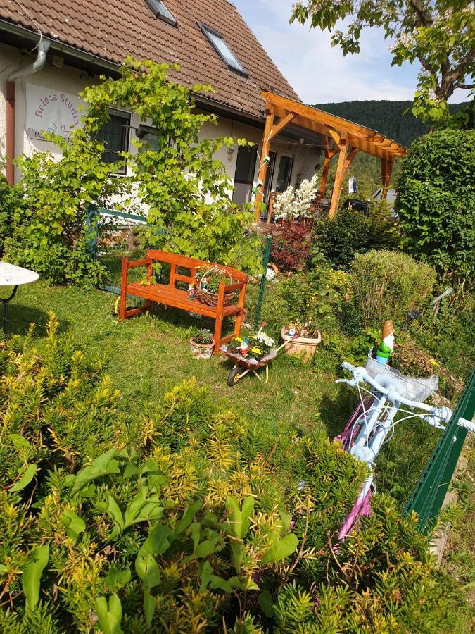 Apartment Da Elisa Rietheim-Weilheim المظهر الخارجي الصورة